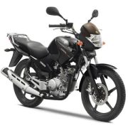 YBR125